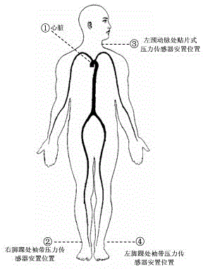 Encephalic blood circulation disturbance nondestructive detection system based on network topological analysis