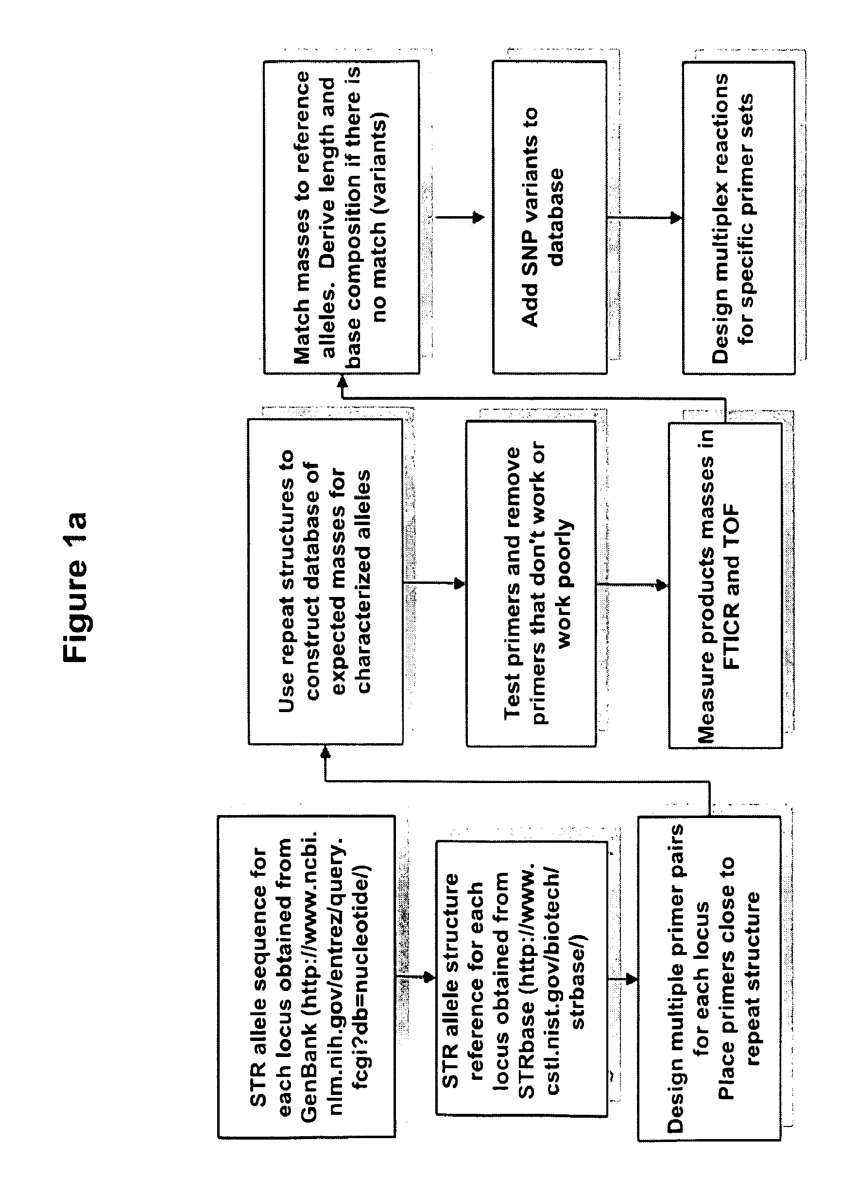 Methods for rapid forensic DNA analysis