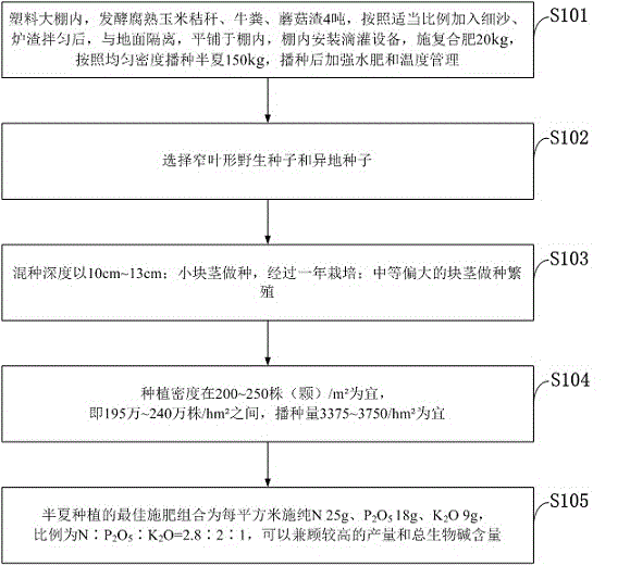 Pinellia ternata allopatric detoxification breeding and planting cultivation method