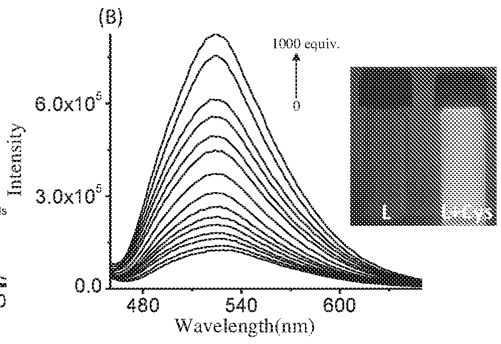 Novel coumarin derivative for detection of cysteine and process for the synthesis thereof