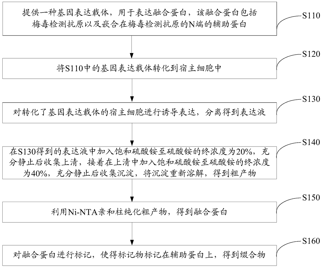 Conjugates and their preparation methods and applications