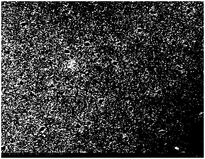 Capillary electrochromatographic monolithic column modified with single-walled carbon nanohorns and preparation method thereof