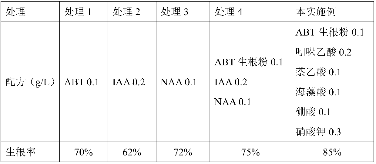 Landscape plant rooting agent and preparation method thereof