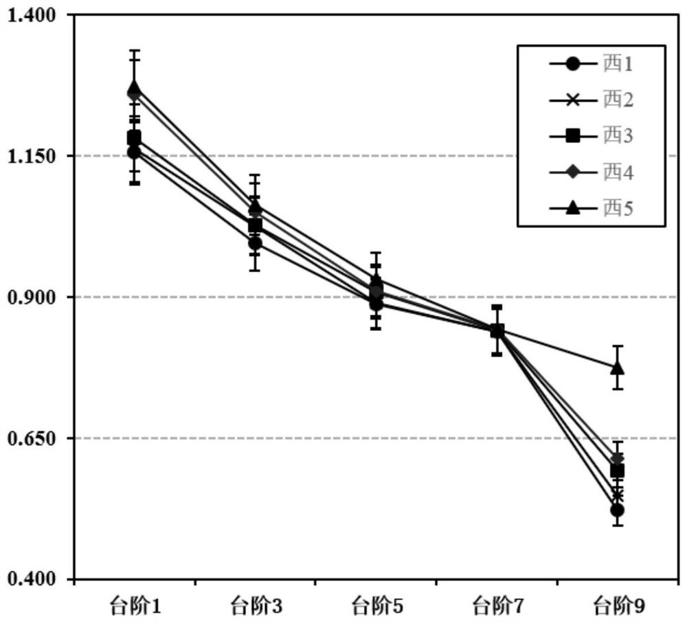 Method for researching structure and function recovery rule of soil in open pit coal mine dumping site