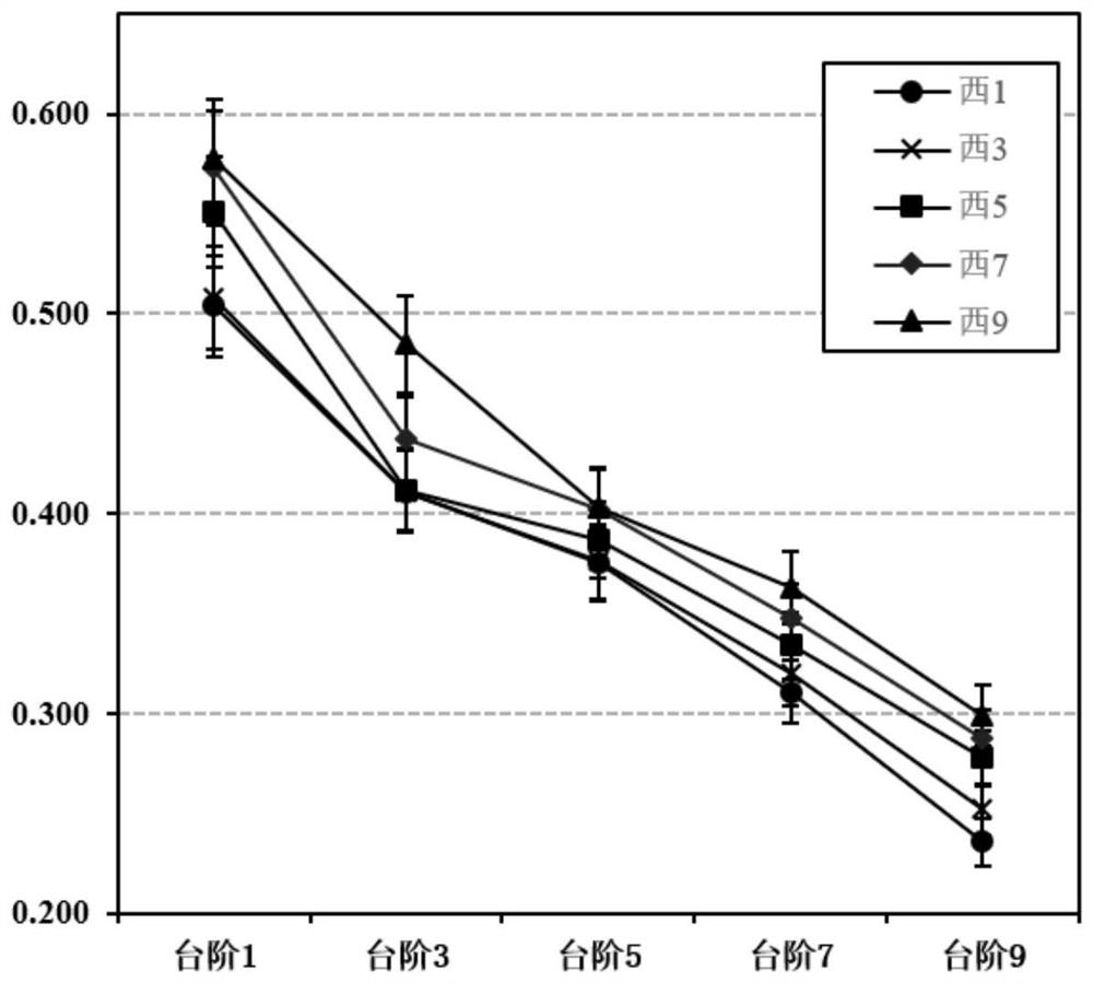 Method for researching structure and function recovery rule of soil in open pit coal mine dumping site