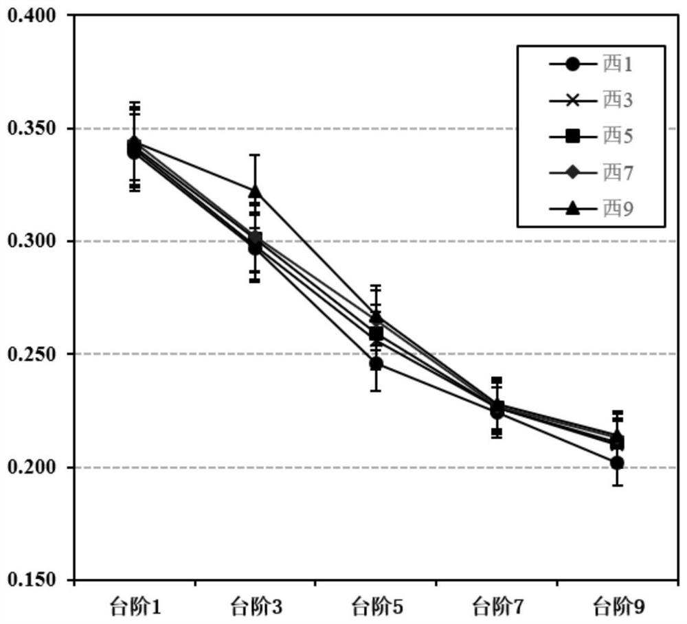 Method for researching structure and function recovery rule of soil in open pit coal mine dumping site