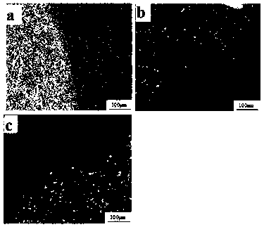 Preparation method of titanium base biomedical gradient composite material