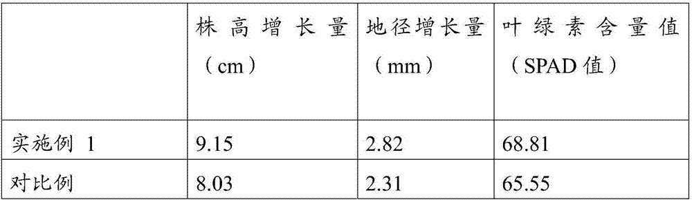 Soilless culture method for achieving camellia industrialization