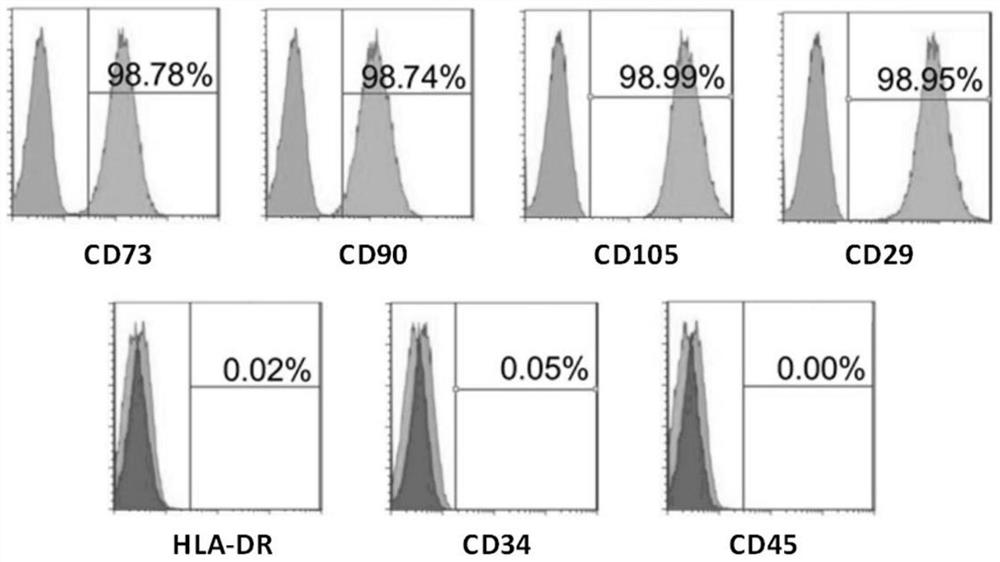 Use of asiatic acid for promoting the proliferation of human adipose-derived mesenchymal stem cells in vitro and inducing their chondrogenic differentiation