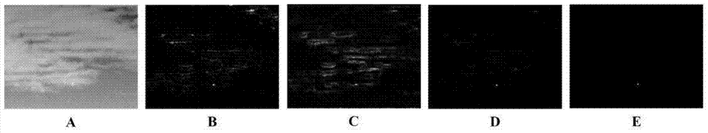 A small infrared target detection method under complex cloudy sky background