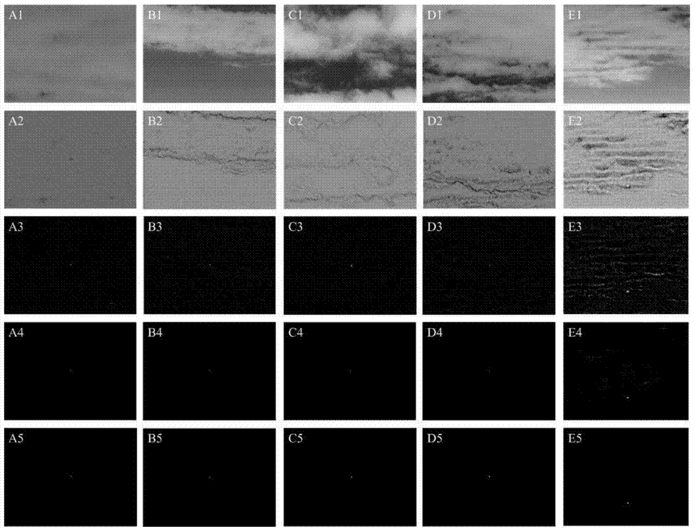 A small infrared target detection method under complex cloudy sky background