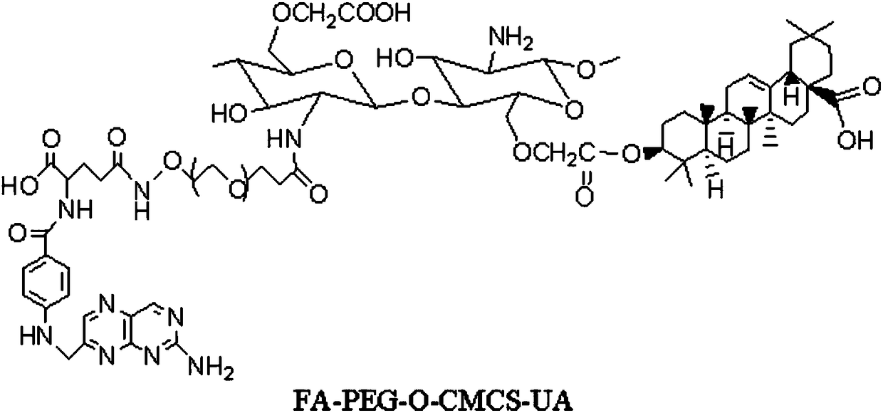 Novel water-soluble targeted nano drug carrier based on carboxymethyl chitosan, and preparation method of novel water-soluble targeted nano drug carrier