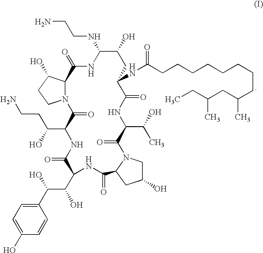 Echinocandin process