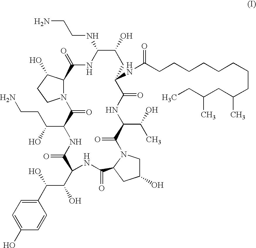 Echinocandin process