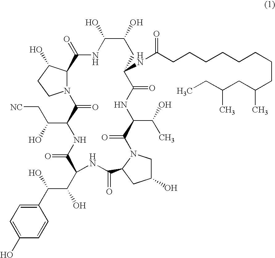 Echinocandin process