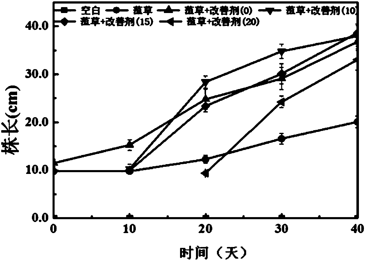 In situ remediation method for improving black and odorous river sediment by combining submerged plants and improving agents