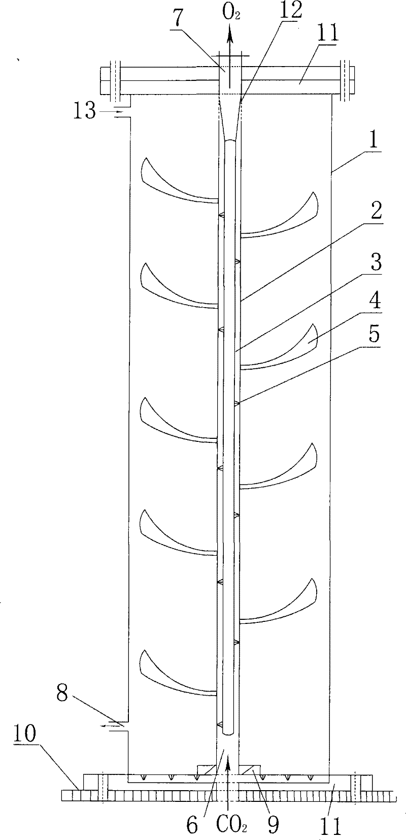 Production apparatus for culturing tiny alga and production method