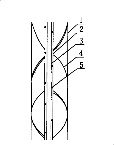 Production apparatus for culturing tiny alga and production method