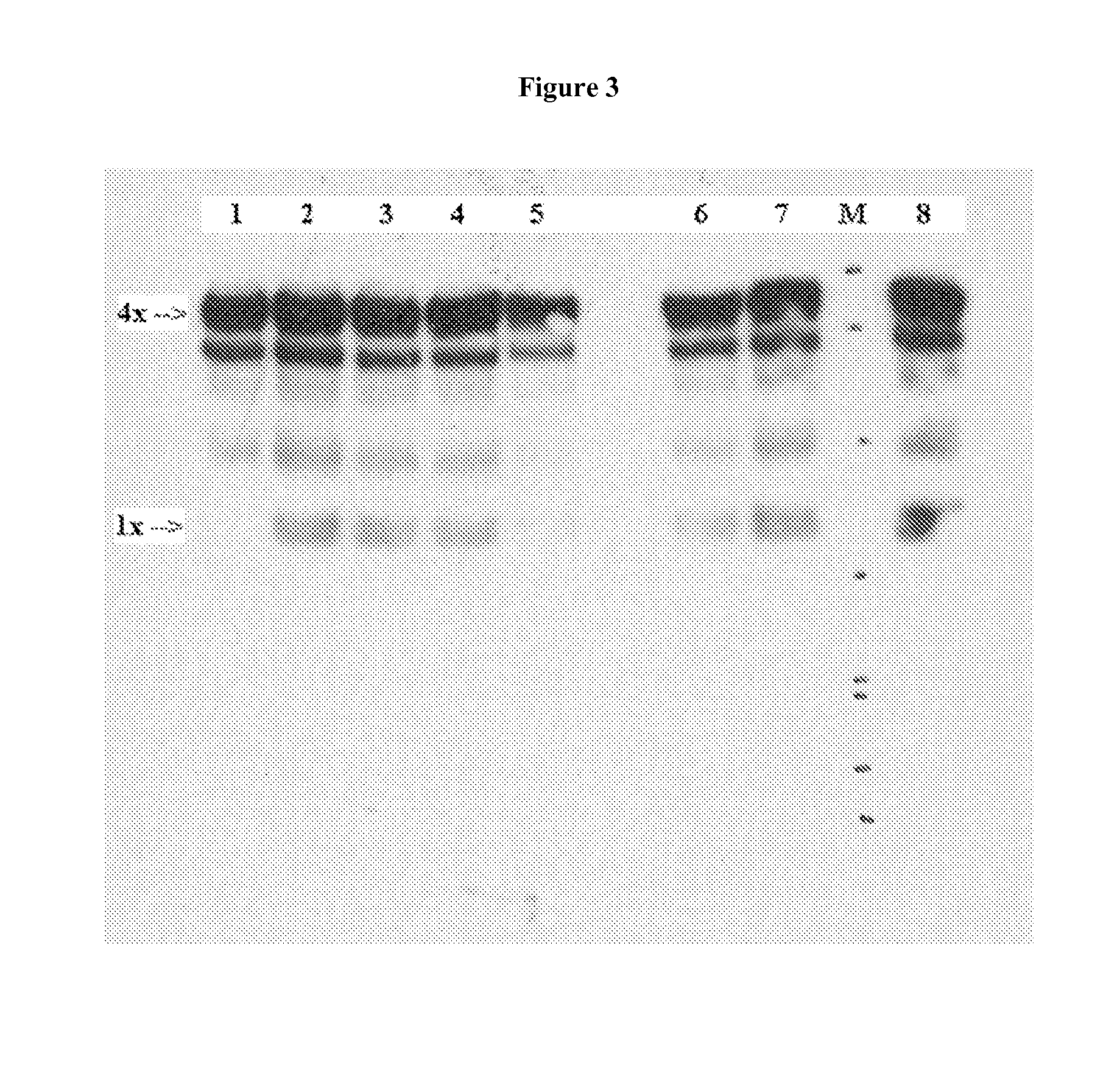 Monoclonal Antibodies That Specifically Block Biological Activity Of A Tumor Antigen