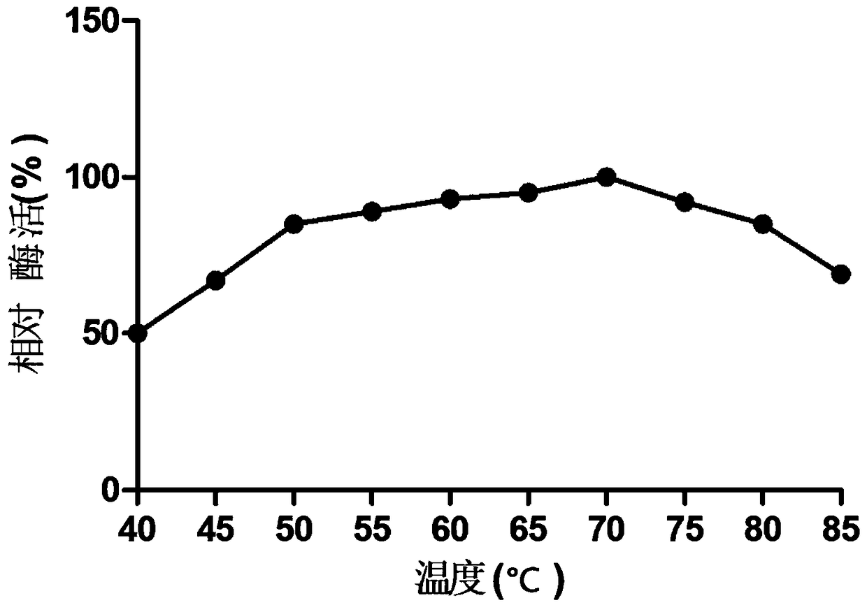 Novel xylanase