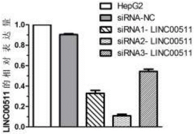 Biological marker for diagnosing and treating liver cancer