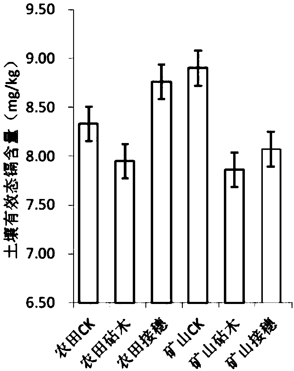 Method for improving cadmium-contaminated soil remediation capability of grafted offspring of bidens pilosa