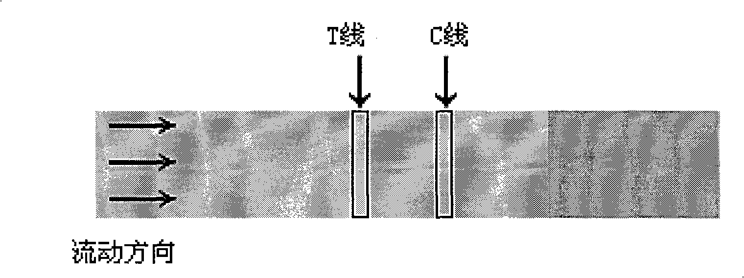 Preparation method of colloidal gold chromatography test paper for fast detecting urolong metabolite