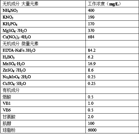 Medium and culture method for producing adventitious buds from detached leaves of apple cold-resistant dwarf rootstock