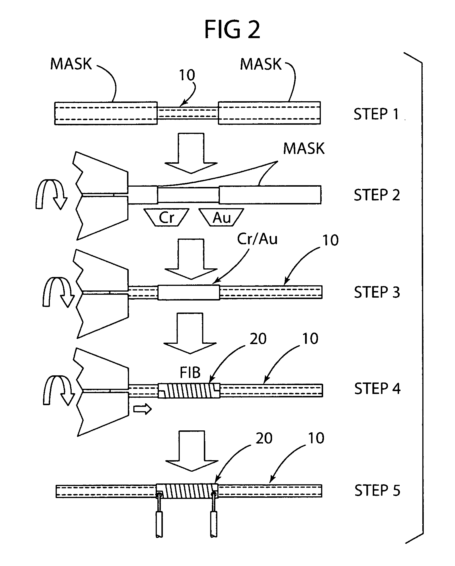 Biological detector and method