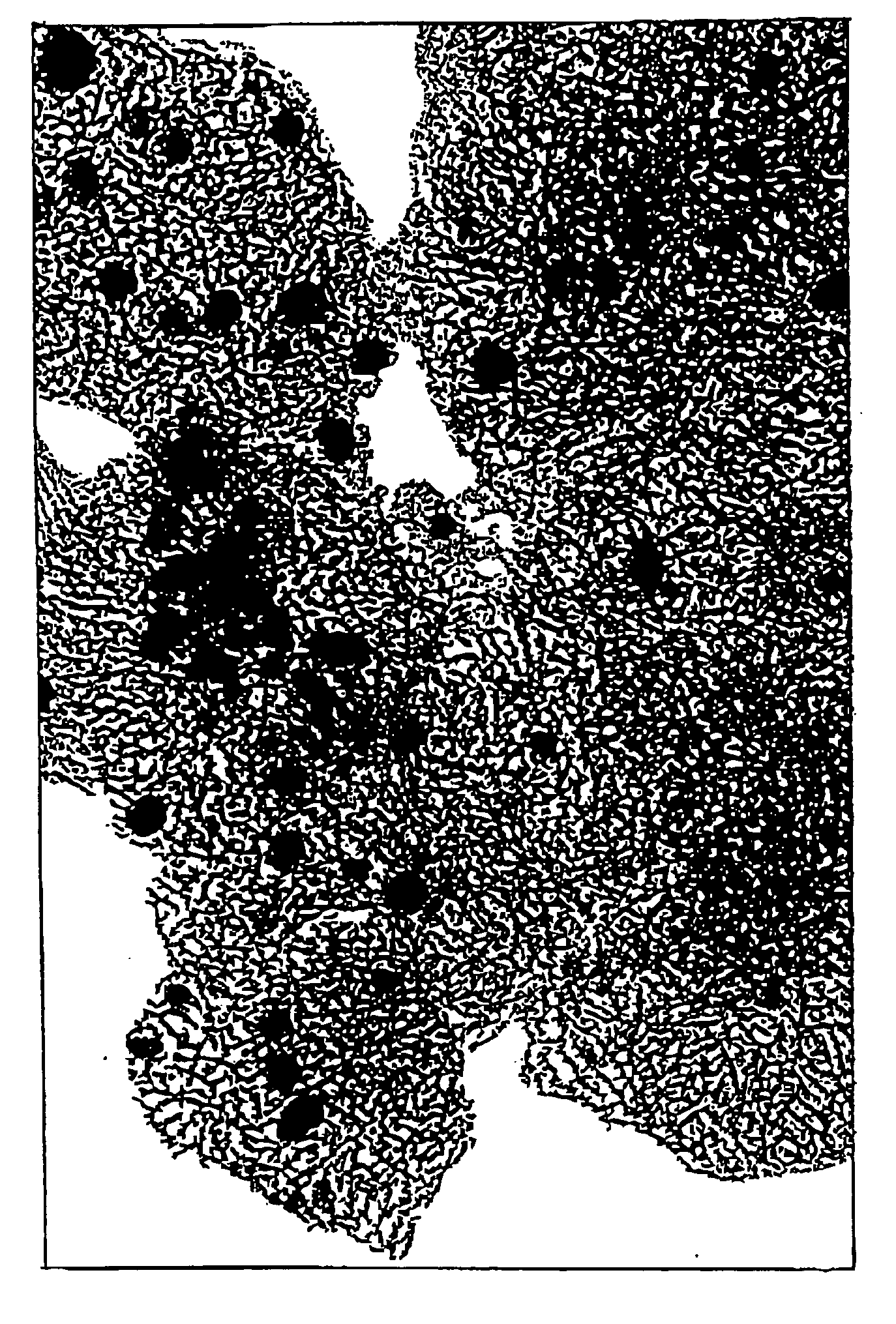 Carbon nano-horn and method for preparation thereof