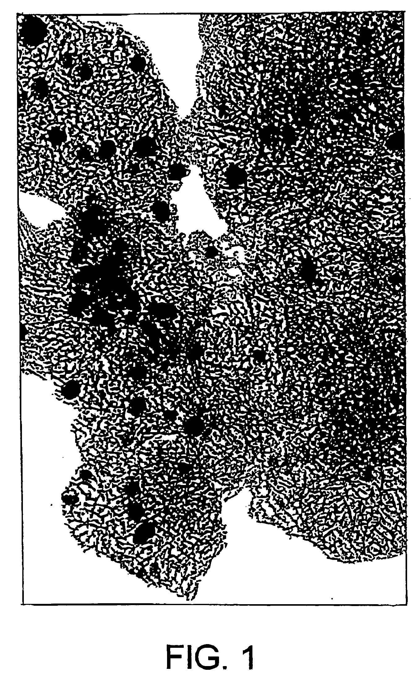 Carbon nano-horn and method for preparation thereof