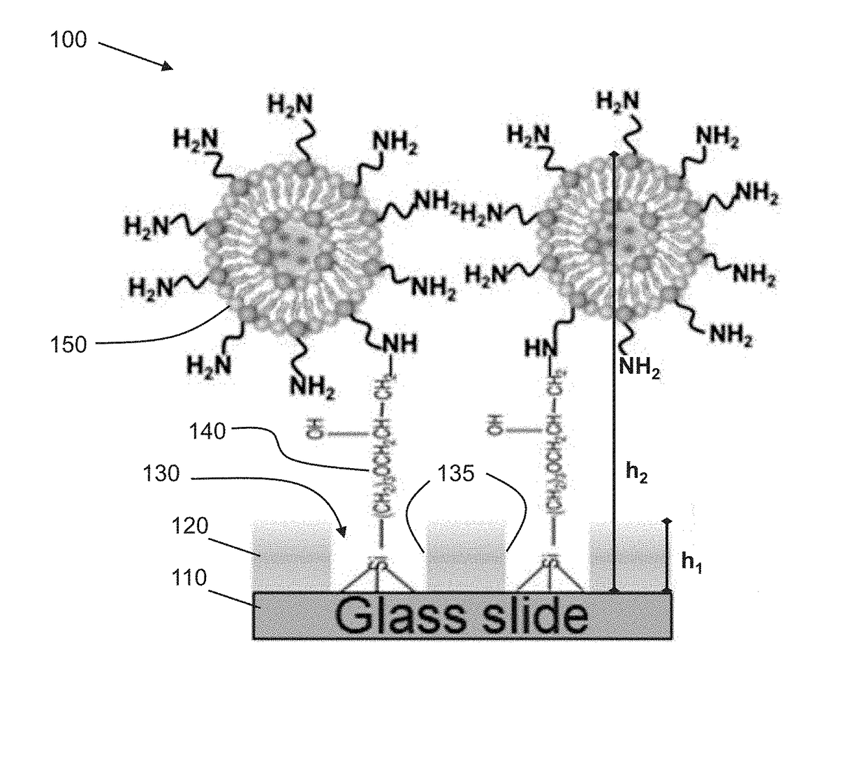 Biofunctionalized nanoshell immobilized microarrays and applications thereof