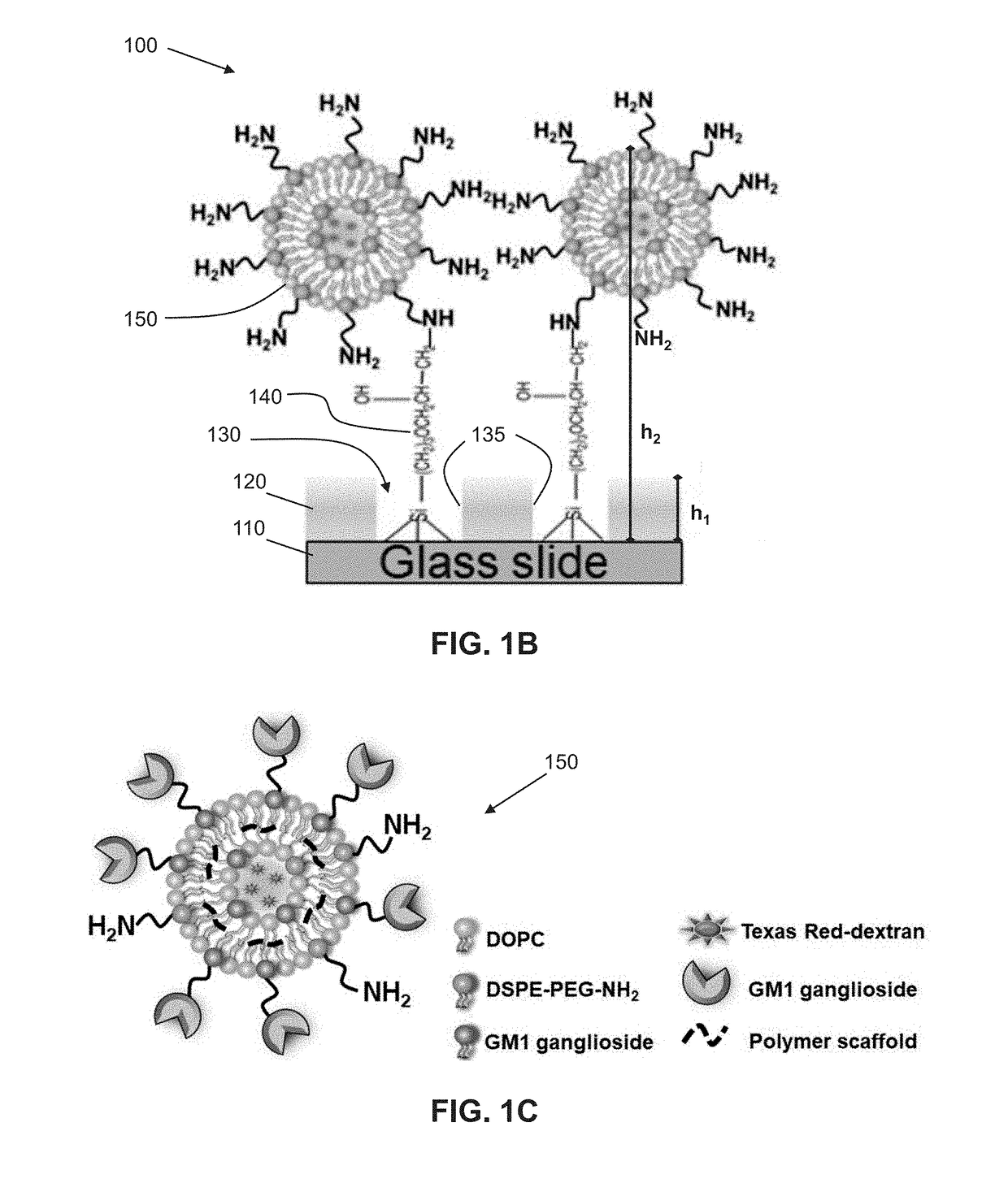 Biofunctionalized nanoshell immobilized microarrays and applications thereof