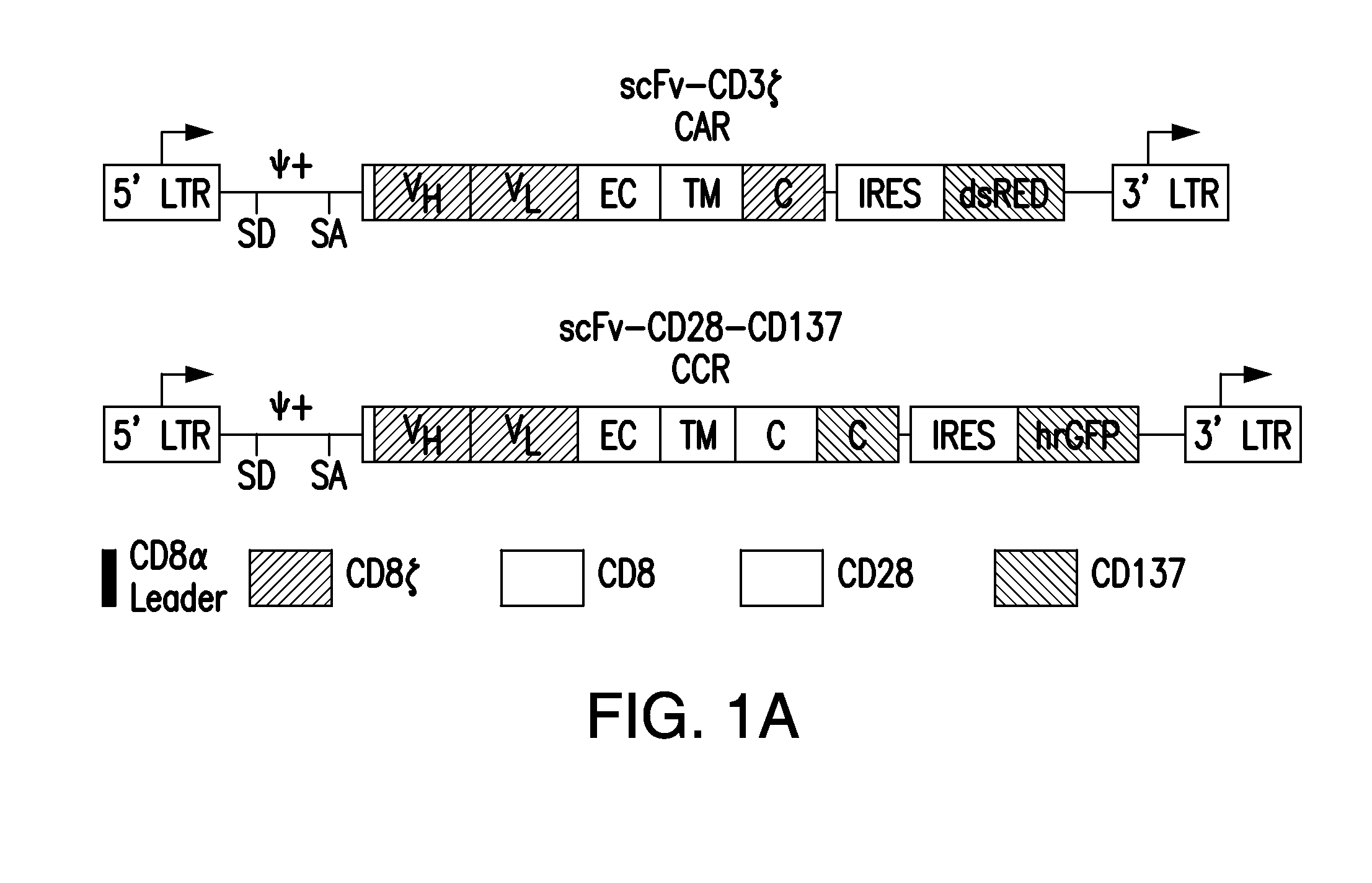 Compositions and methods for immunotherapy