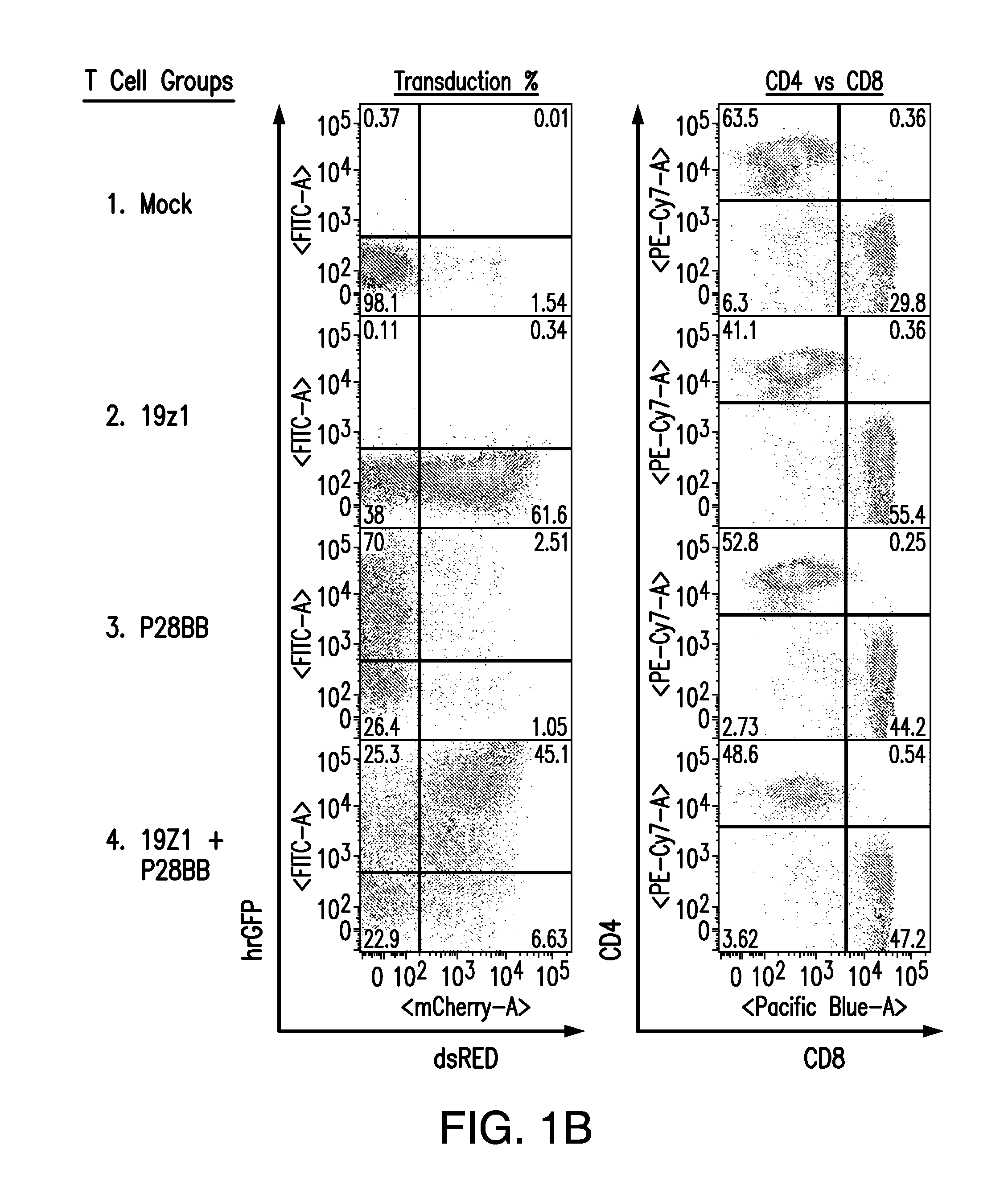 Compositions and methods for immunotherapy