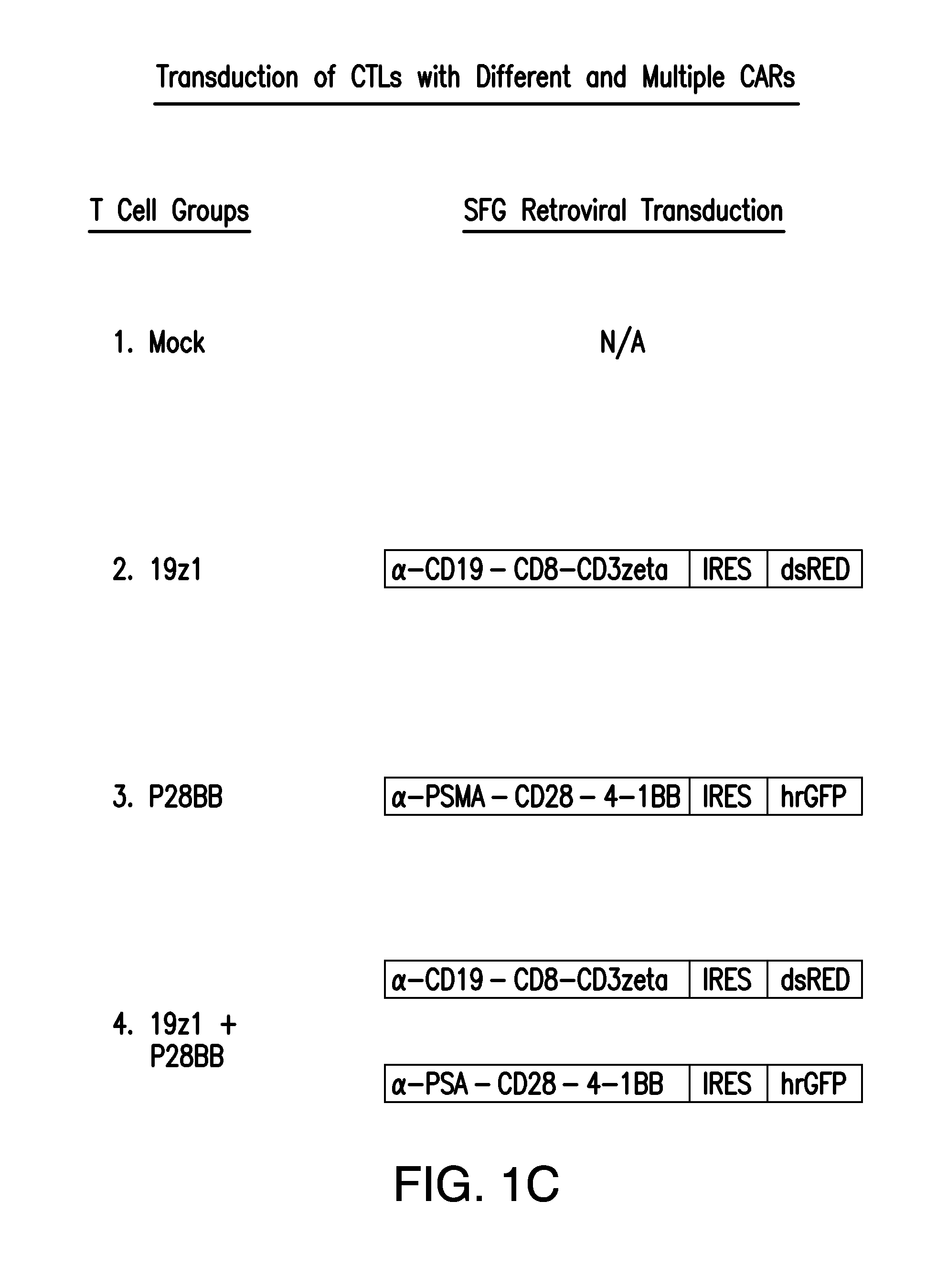 Compositions and methods for immunotherapy