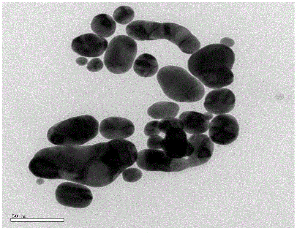 Controllable preparation method for gold nanoparticles induced by polysaccharide derivative