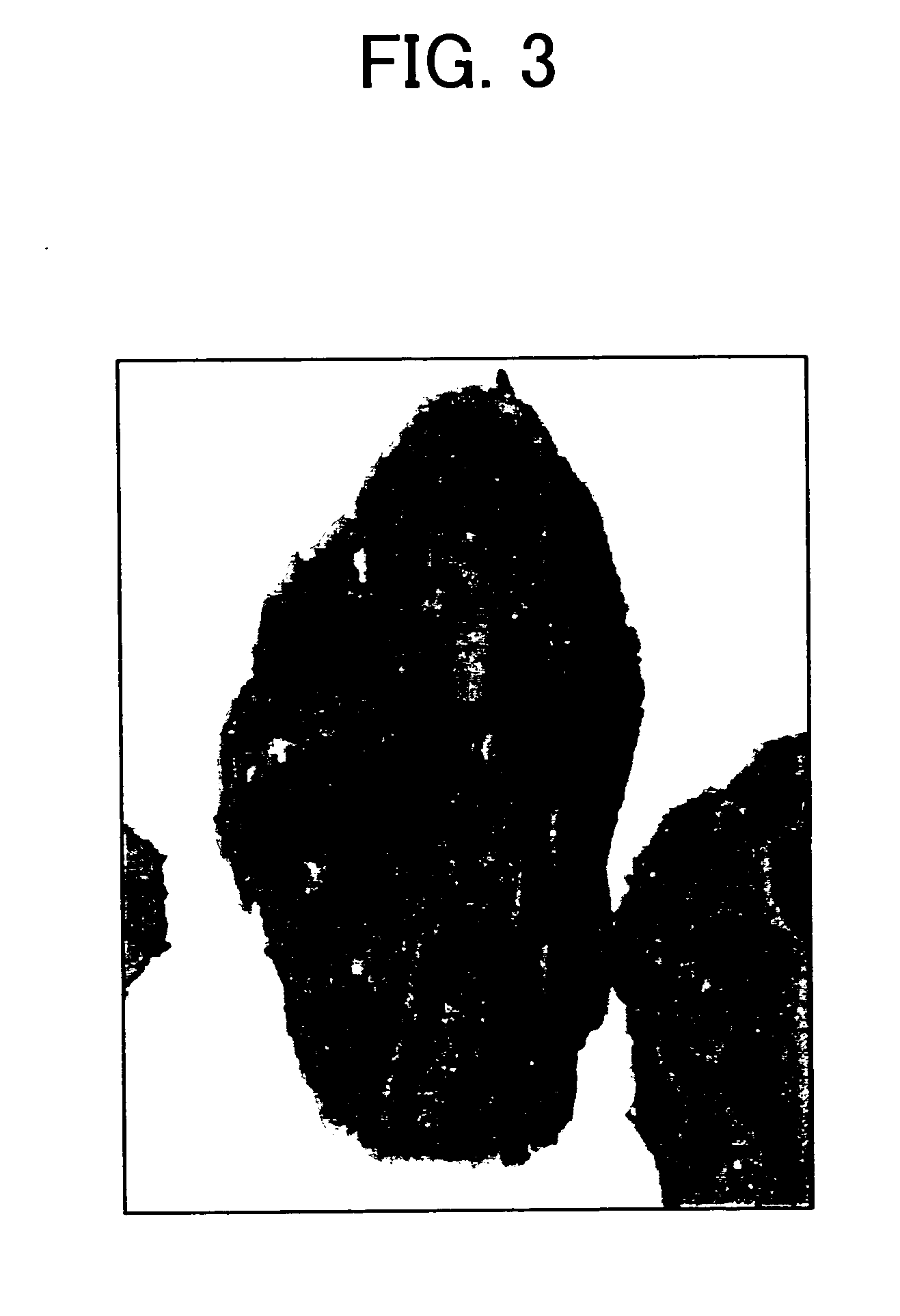 Toner, developer, image forming method, image forming apparatus, process cartridge, and toner container