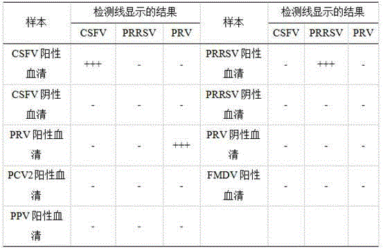 A triple gold label detection test strip for antibodies against classical swine fever virus, porcine reproductive and respiratory syndrome virus, and pseudorabies virus