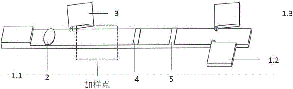 Ion concentration polarization (ICP)-based lateral-flow chromatographic strip for immunodetection