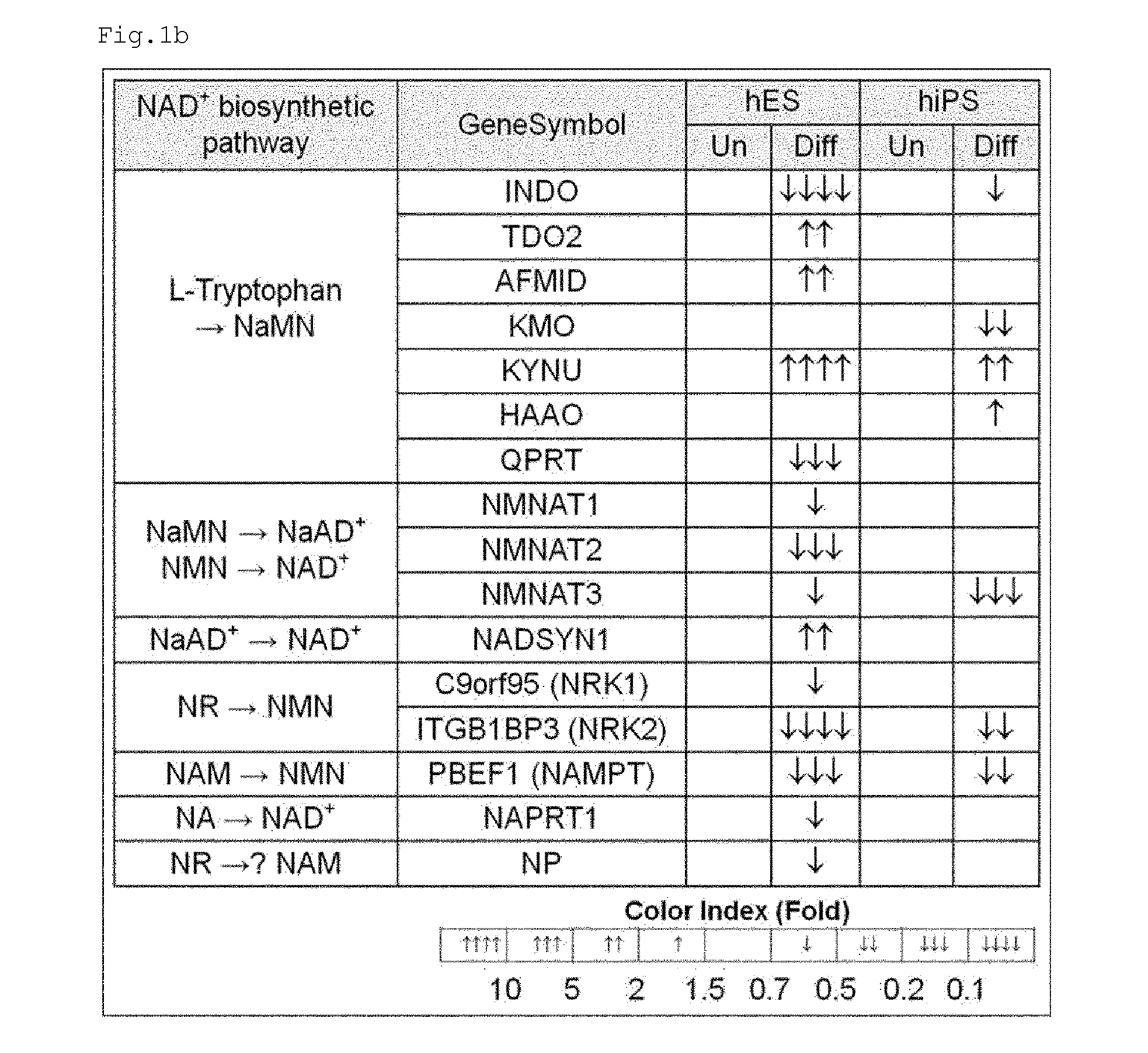 Metabolite for improving production, maintenance and proliferation of pluripotent stem cells, composition comprising the same, and method of culturing pluripotent stem cell using the same