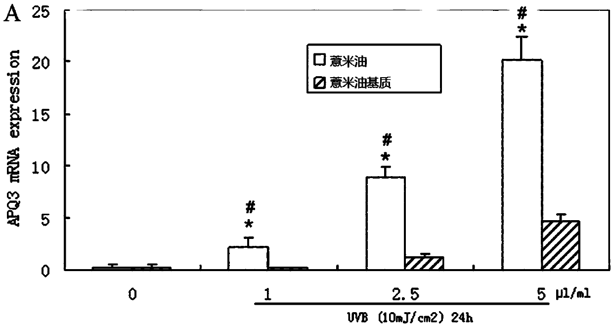 Application of semen coicis oil, semen coicis oil emulsification preparation and preparing method of semen coicis oil emulsification preparation