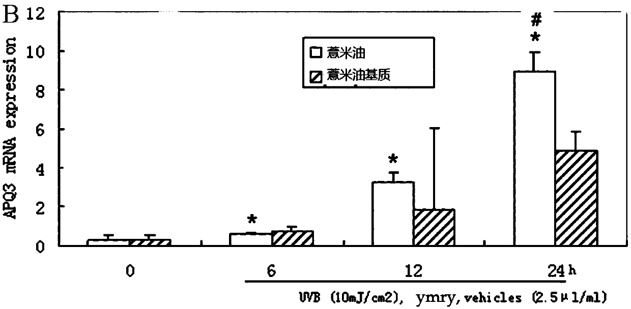 Application of semen coicis oil, semen coicis oil emulsification preparation and preparing method of semen coicis oil emulsification preparation