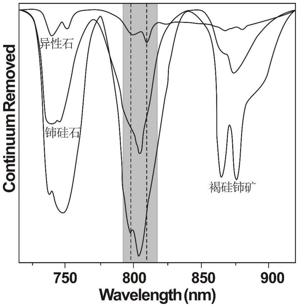 Method for analyzing ion adsorption state rare earth content of weathered crust sample through reflection spectrum