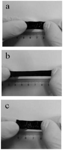 Photoactivity benzoxazine elastomer and preparation method thereof