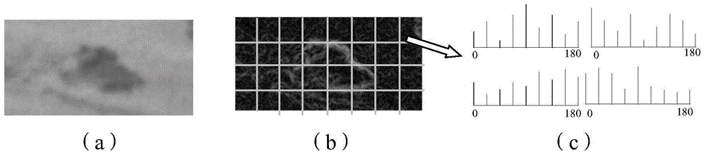 Background clutter measurement method based on edge structures