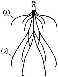 Double-umbrella-type recoverable venous thrombus filter