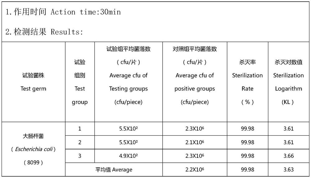 Ozone foam capable of being kept for long time and preparation method thereof