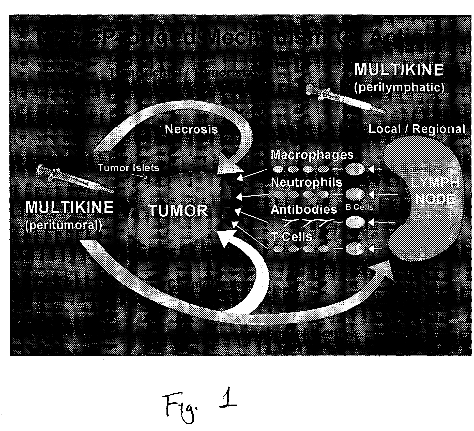 Method of pre-sensitizing cancer prior to treatment with radiation and/or chemotherapy and a novel cytokine mixture