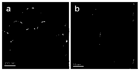 Electrolyte material and preparation method thereof